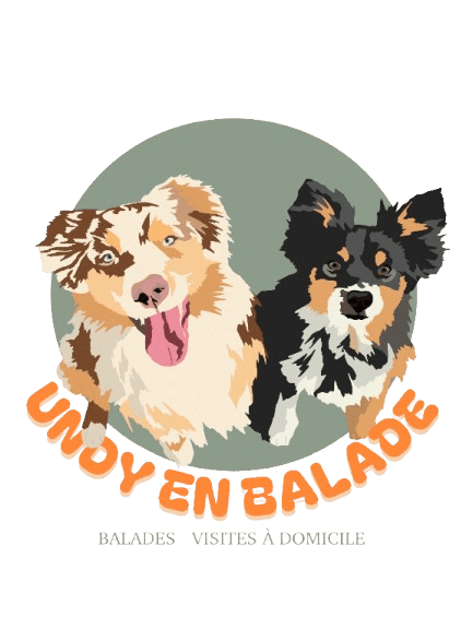 Logo Undy en Balade